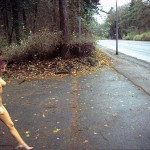 On a fairly well frequented street