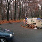 On a fairly well frequented street