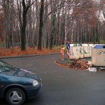 On a fairly well frequented street