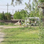 At a kiosk next to the road