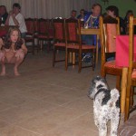 A bet with friends at a bar