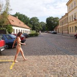 At a castle with many tourists