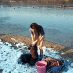 On and in a partly frozen lake