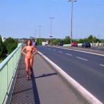 On a well frequented bridge