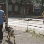 At a crossing downtown