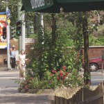 At a crossing downtown