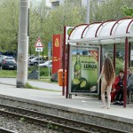 At and around a train station