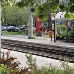 At and around a train station