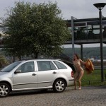 At a gas station and in a park