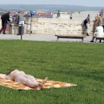 At a gas station and in a park