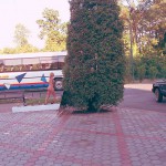 In the shopping area of a touristical