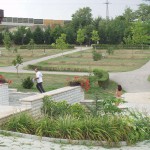 Clothes being stolen at a campground