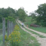 Clothes being stolen at a campground