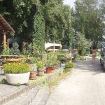 Strolling between the boats