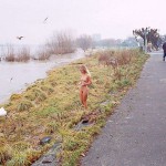 On a path next to the riverside