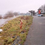 On a path next to the riverside