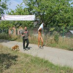 Motor bike grand prix