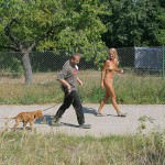 Motor bike grand prix