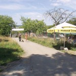 Motor bike grand prix