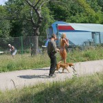 Motor bike grand prix