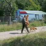 Motor bike grand prix