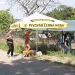 Motor bike grand prix