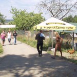 Motor bike grand prix