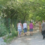 Motor bike grand prix