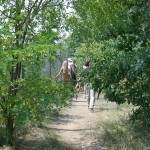 Motor bike grand prix