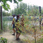 Motor bike grand prix