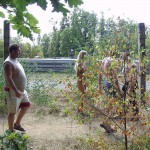 Motor bike grand prix