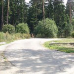 At a highway rest stop