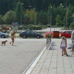 At a highway rest stop