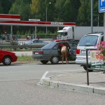 At a highway rest stop