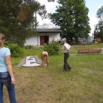 At a minigolf course