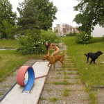 At a minigolf course