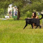 At a minigolf course