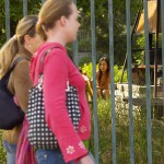 At a minigolf course