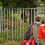 At a minigolf course