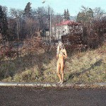 On the streets and in a park