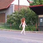 In a park and in the village