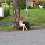 In a park and in the village