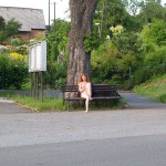 In a park and in the village