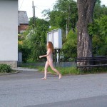 In a park and in the village