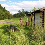 In a park and in the village