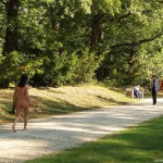 All through Prague on a sunny day