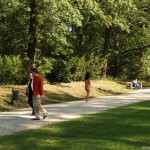 All through Prague on a sunny day