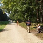 All through Prague on a sunny day