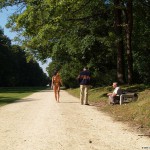 All through Prague on a sunny day