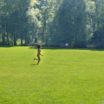 All through Prague on a sunny day